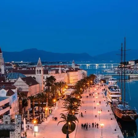 Bird View Carlissima * تروغير