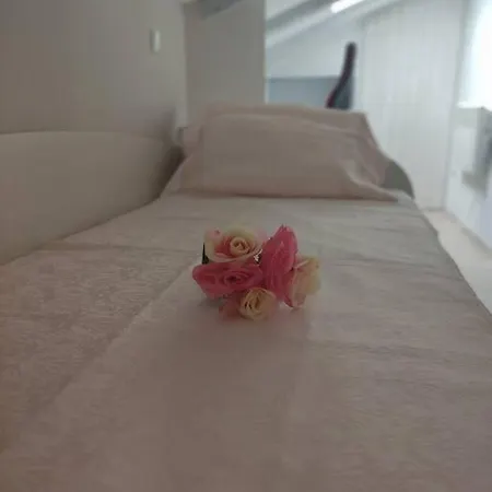 Bird View Carlissima تروغير