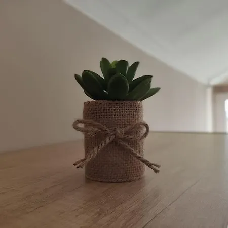 شقة Bird View Carlissima تروغير