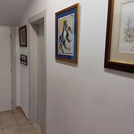 Bird View Carlissima